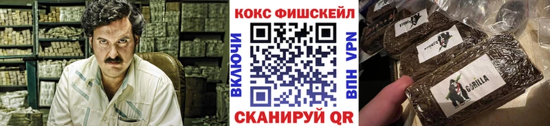 цены наркотик  Мантурово  Cocaine Fish Scale 