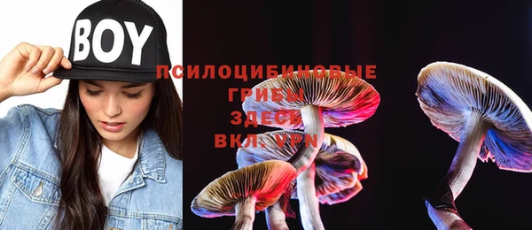 марки nbome Алзамай